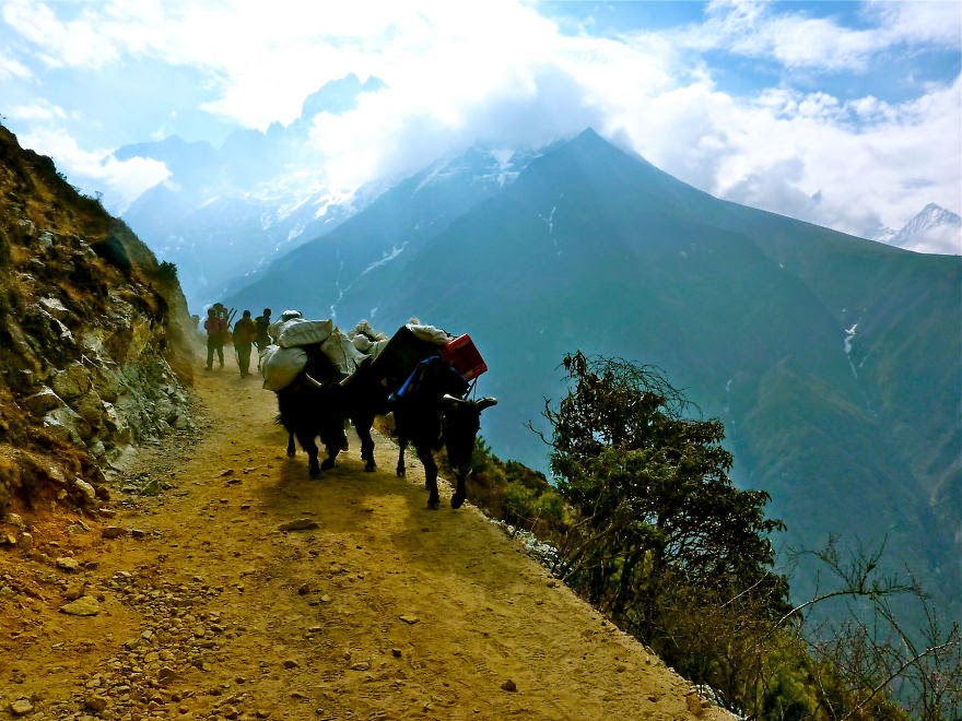 The trail from Namche to Tengboche - My 25 Photos Of The Everest Base Camp Trek The trail from Namche to Tengboche - My 25 Photos Of The Everest Base Camp Trek