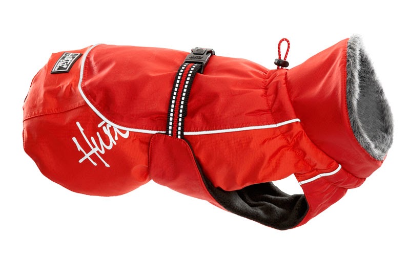 Dobie Puppy To Schutzhund Hurtta jacket for Dobie