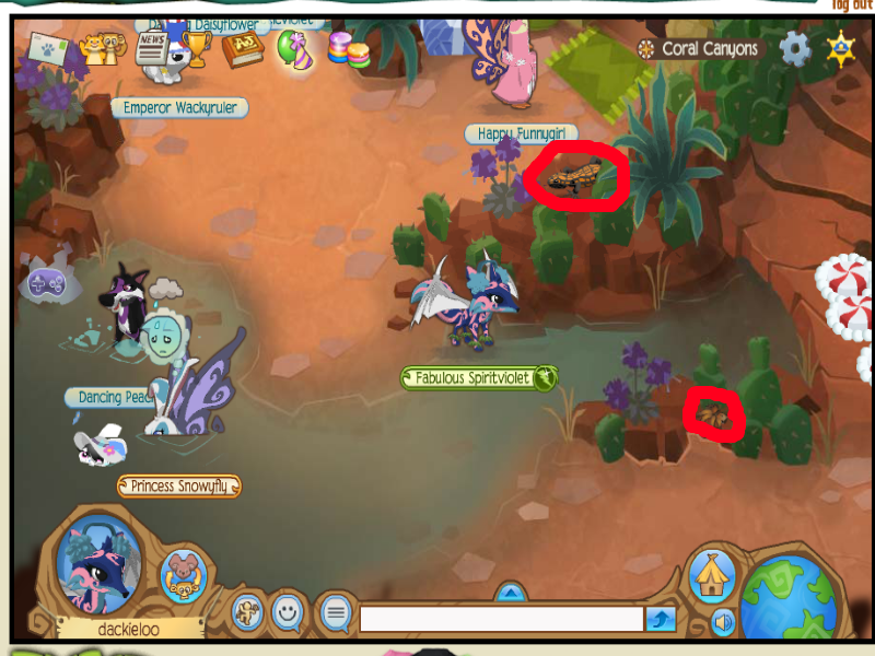 Around Jamaa with LauraSv Animal Jam Journey Book ,,Coral Canyons''