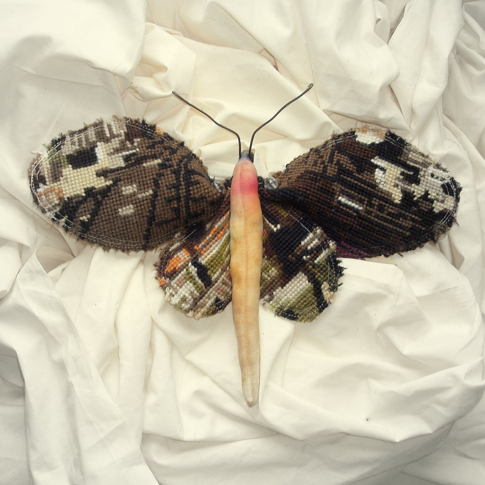 Tapestry moths...........