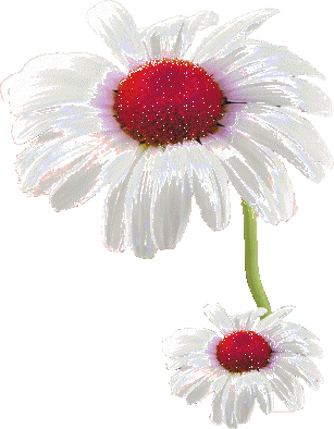 Resultado de imagen para gifs de flores