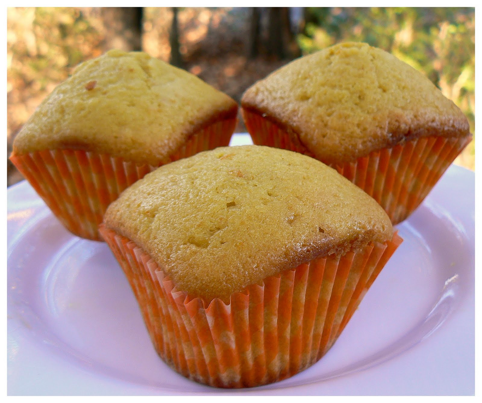 Le palais gourmand Muffins à l'orange