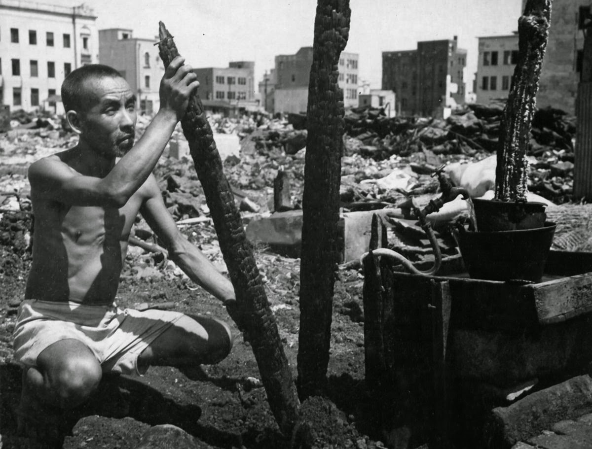 ww2 aftermath disaster
