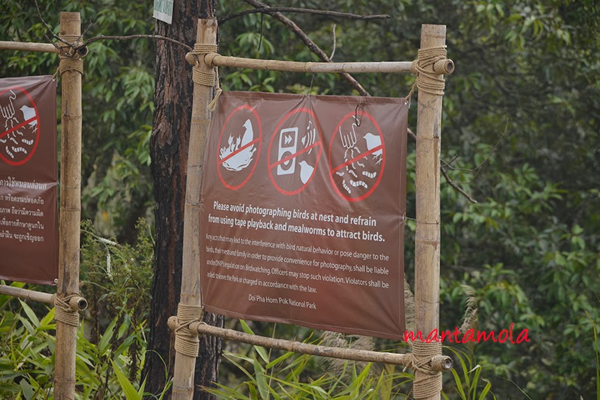 Doi Pak Hom Pok National Park Doi Pak Hom Pok National Park