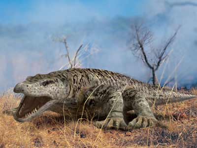 essay on what killed the dinosaurs essay on what killed the dinosaurs