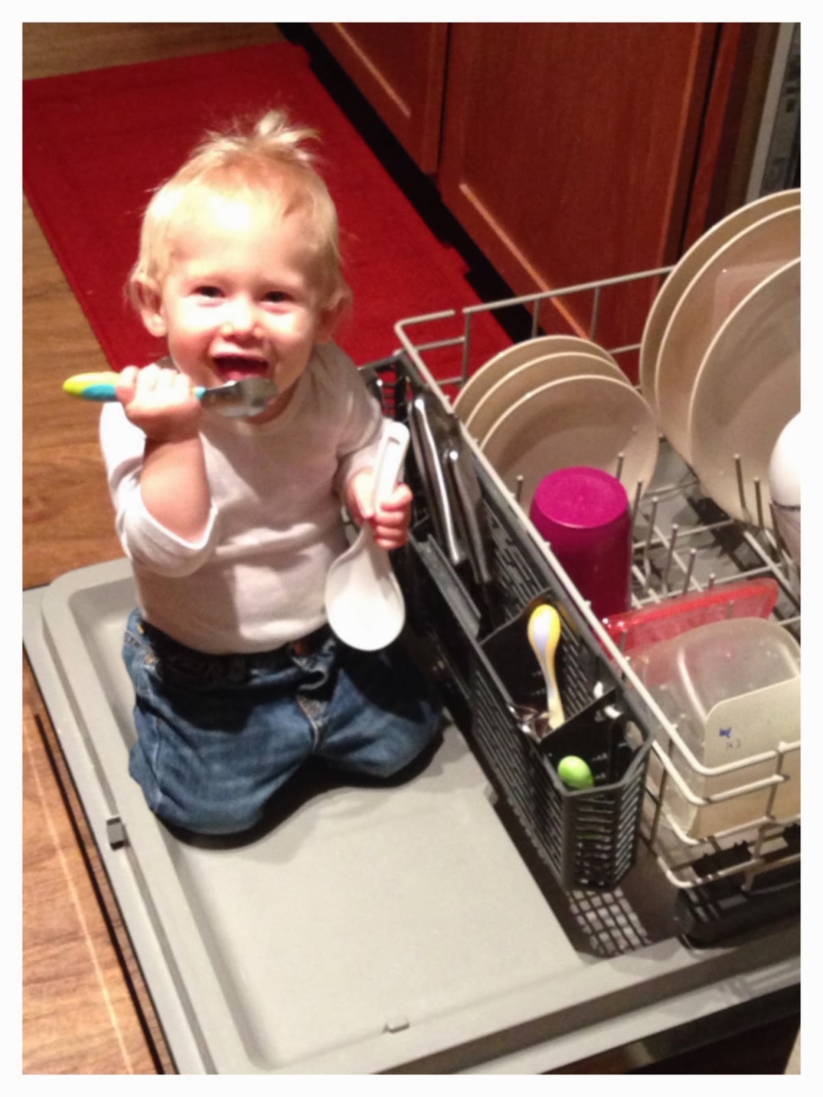 Dishwasher fun