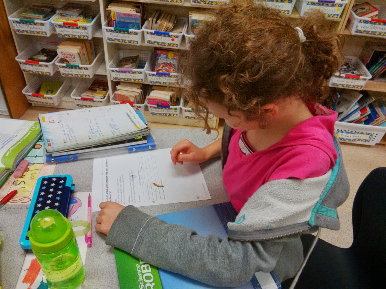 Mealworm experiment light vs dark picture