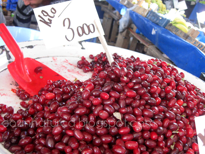 Corniso ou Cornus Mas (Kızılcık)