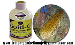 Jelly+Gamat+gold-G.jpg
