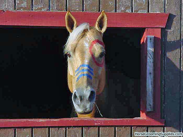 American themed fancy dress party - Free Articles Directory