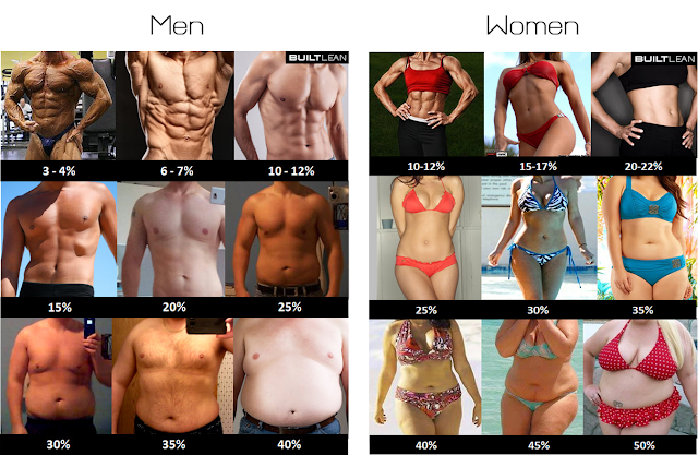 Body Weight Loss Percentage Calculator