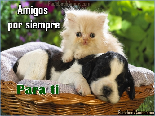 Crea tu tarjeta con nombre para Amistad Imagenes Bonitas para ...