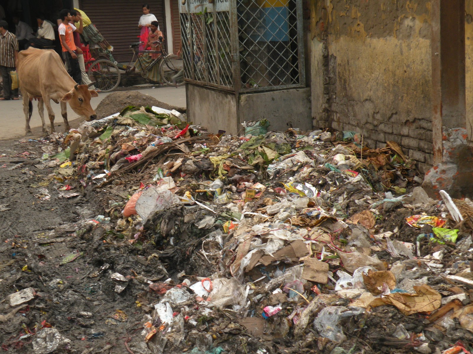 Garbage Crisis