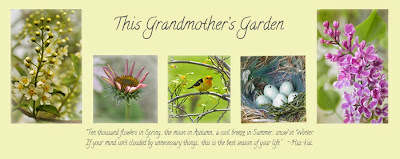    This Grandmother's Garden