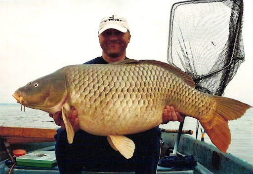 646+pound+mekong+giant+catfish