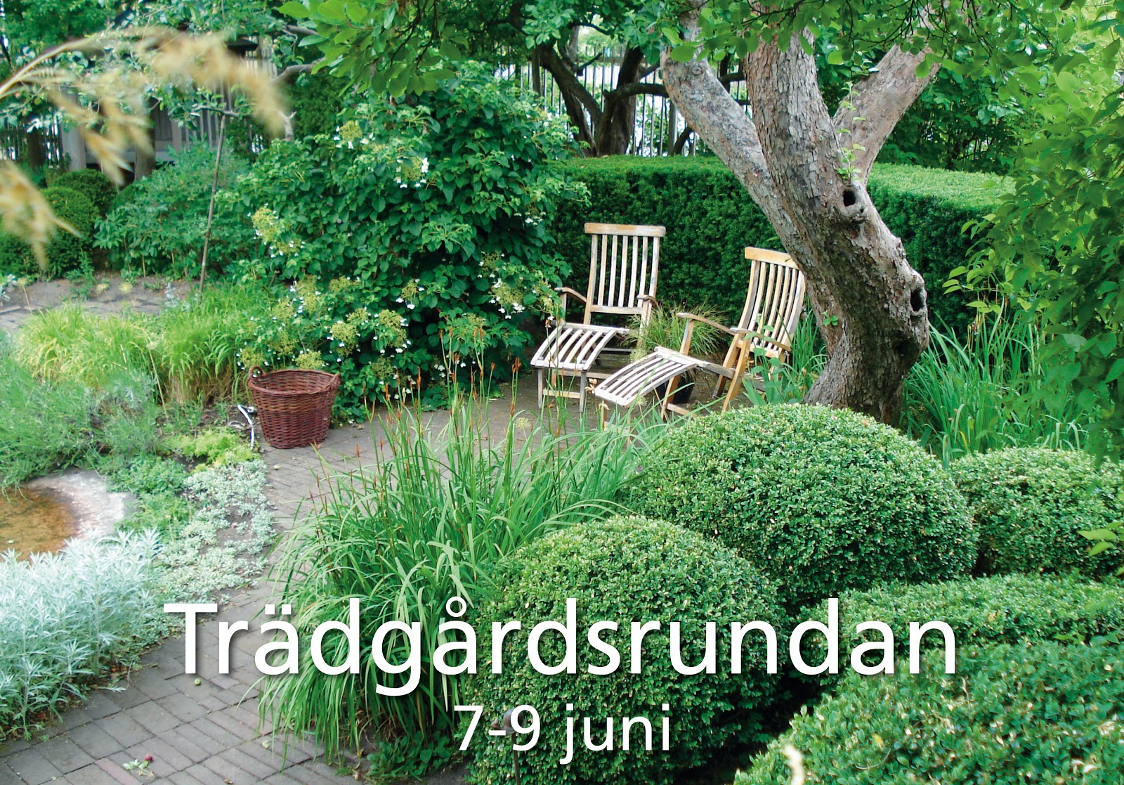 Cattis och eiras trädgårdsdesign: trädgårdsrundan om drygt två ...