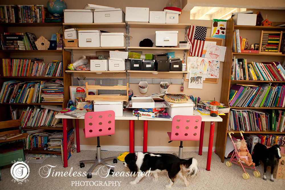 Girls Desk Organization