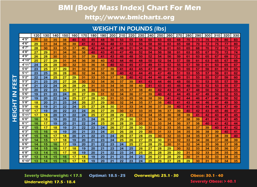 Ideal Bmi Chart For