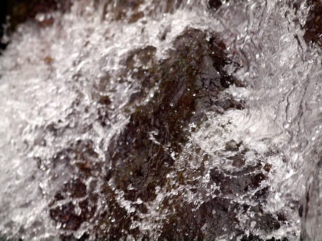 Central Park North Woods Water Fall Water Fall in the North Woods of Central Park