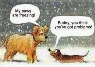 Christmas Quotes about Dogs