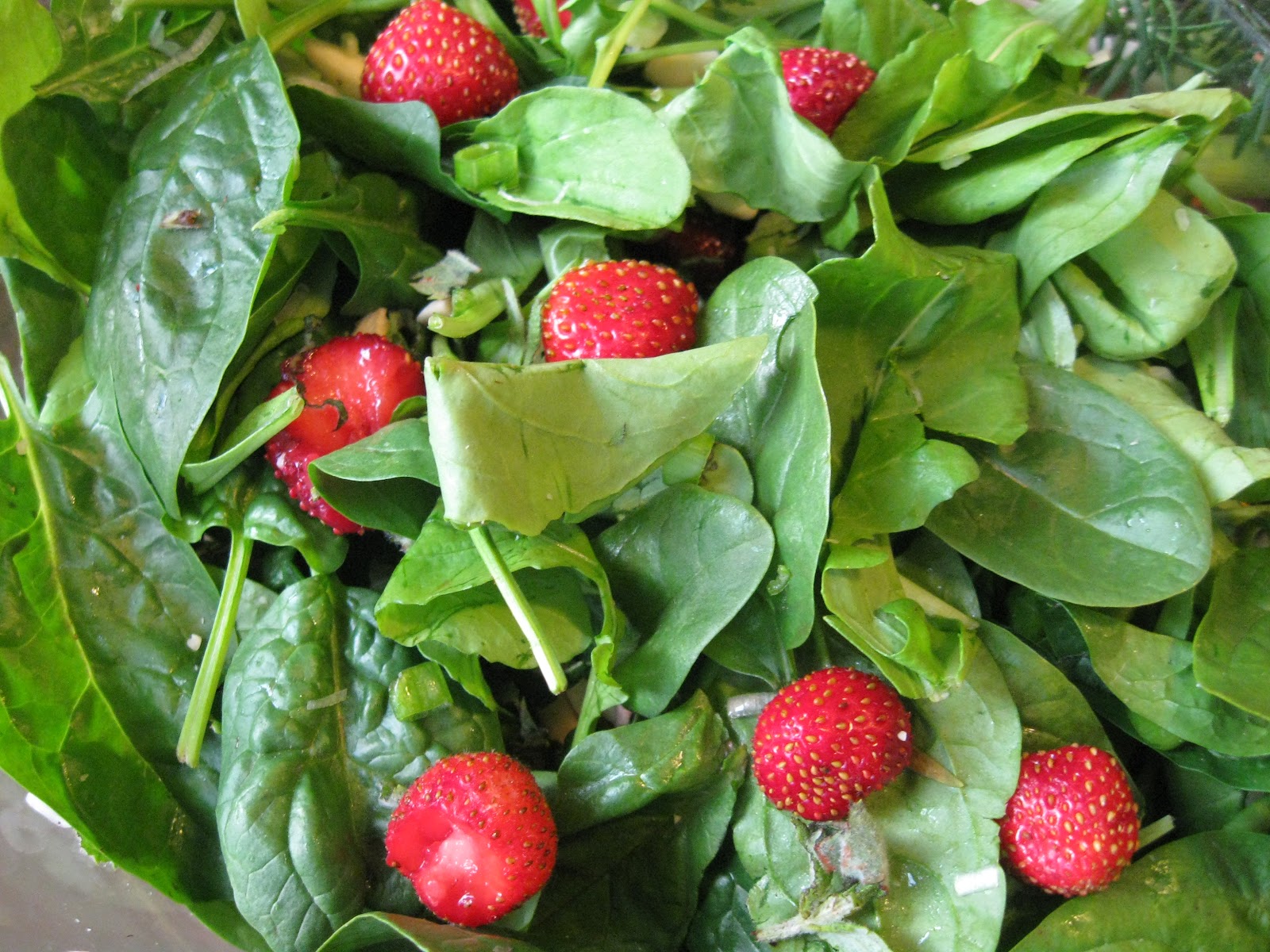 Carpe Cibus Strawberry Arugula Salad with Rosemary Vinaigrette
