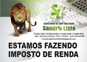 Sandra Lígia Assessoria contábil