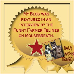 Our Mousebreath Interview