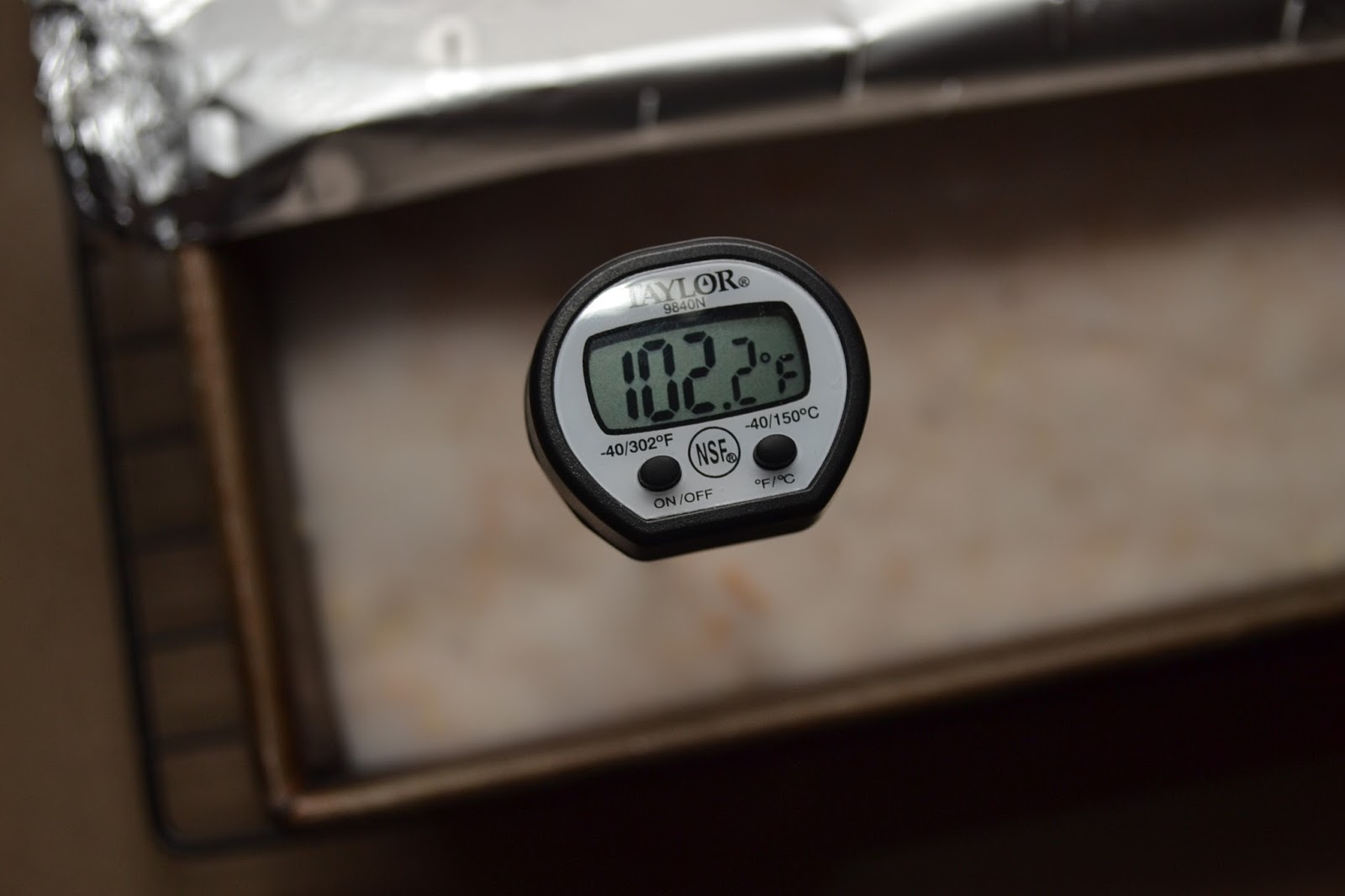 Tempeh Time Vegan Magic Time