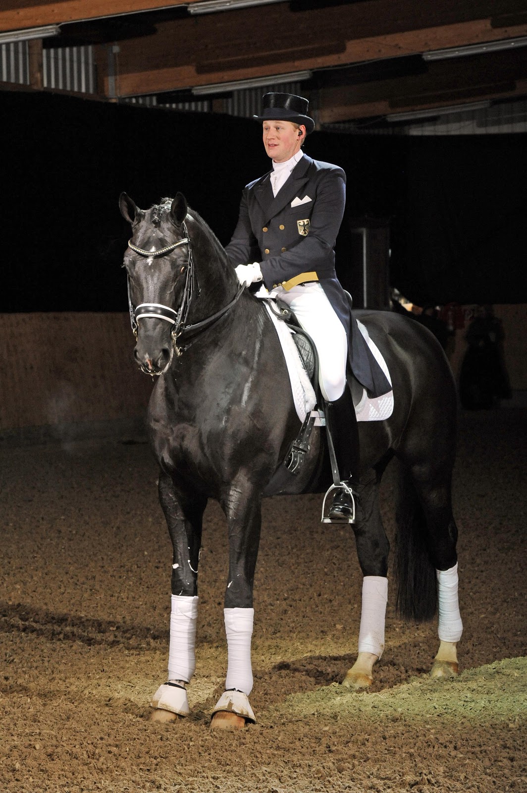 WEG Central Dressage Video Alert The Miracle Stallion New Totilas