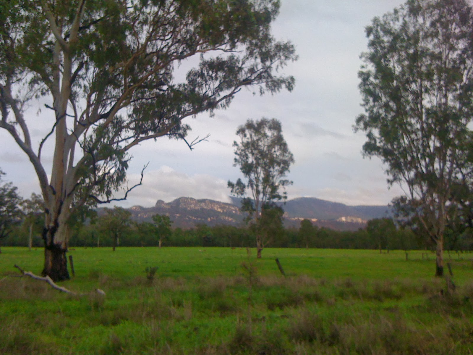 Carnarvon Gorge National Park
