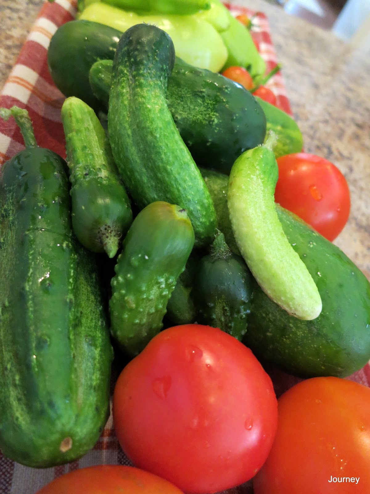Journey Cucumbers and Eggplant