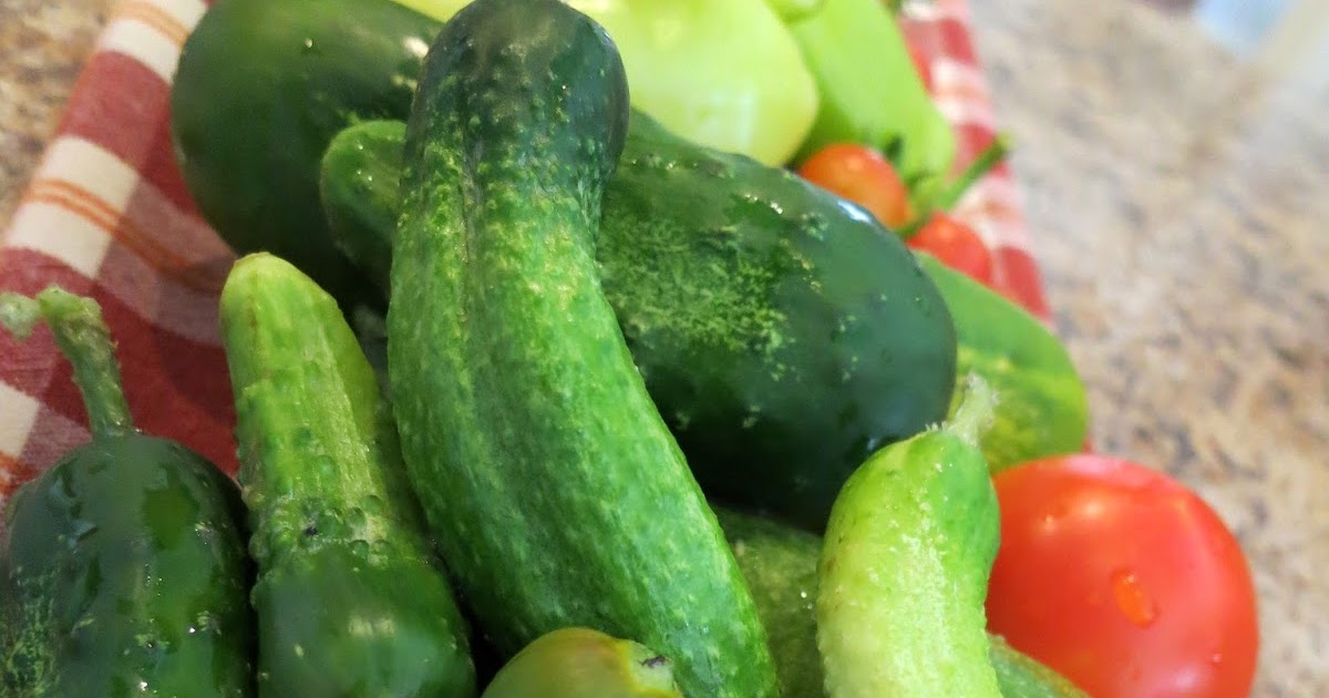 Journey Cucumbers and Eggplant