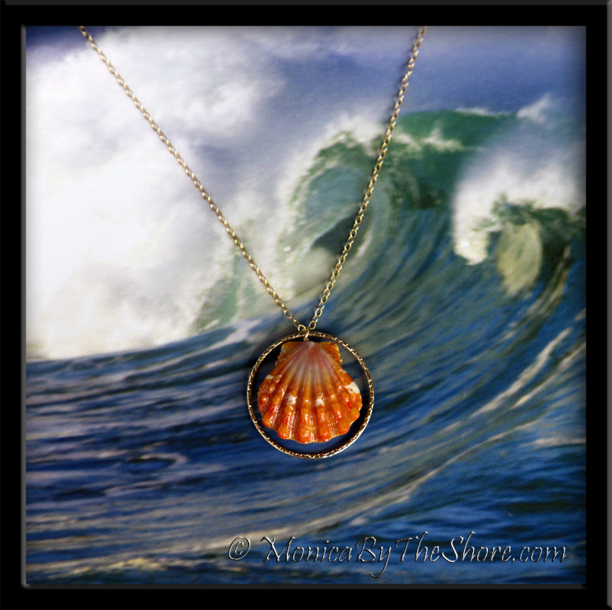 double sunrise shell