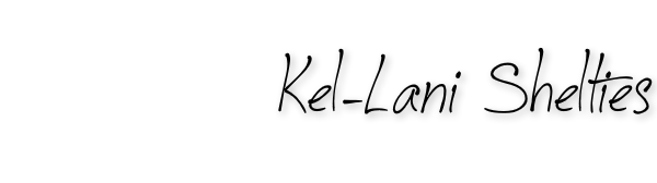 Kel-Lani Shelties