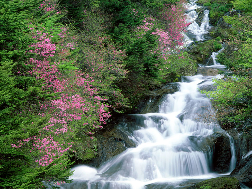 http://4.bp.blogspot.com/-4qwjDLlji1s/TZCXD9YQhYI/AAAAAAAAJq8/eyY2ibKTRek/s1600/2011paisagem.jpg