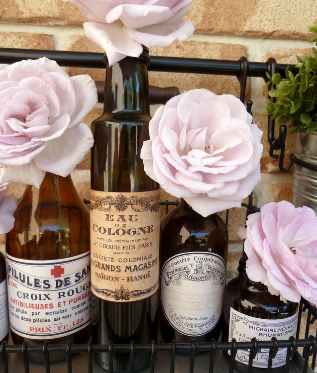 Stylish Settings Vintage Style Medicine Bottles with Labels