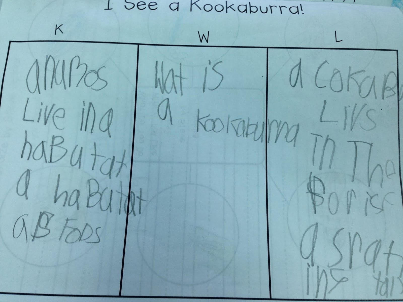 The Adventures of a K/1 Teacher Steve Jenkins Author Study