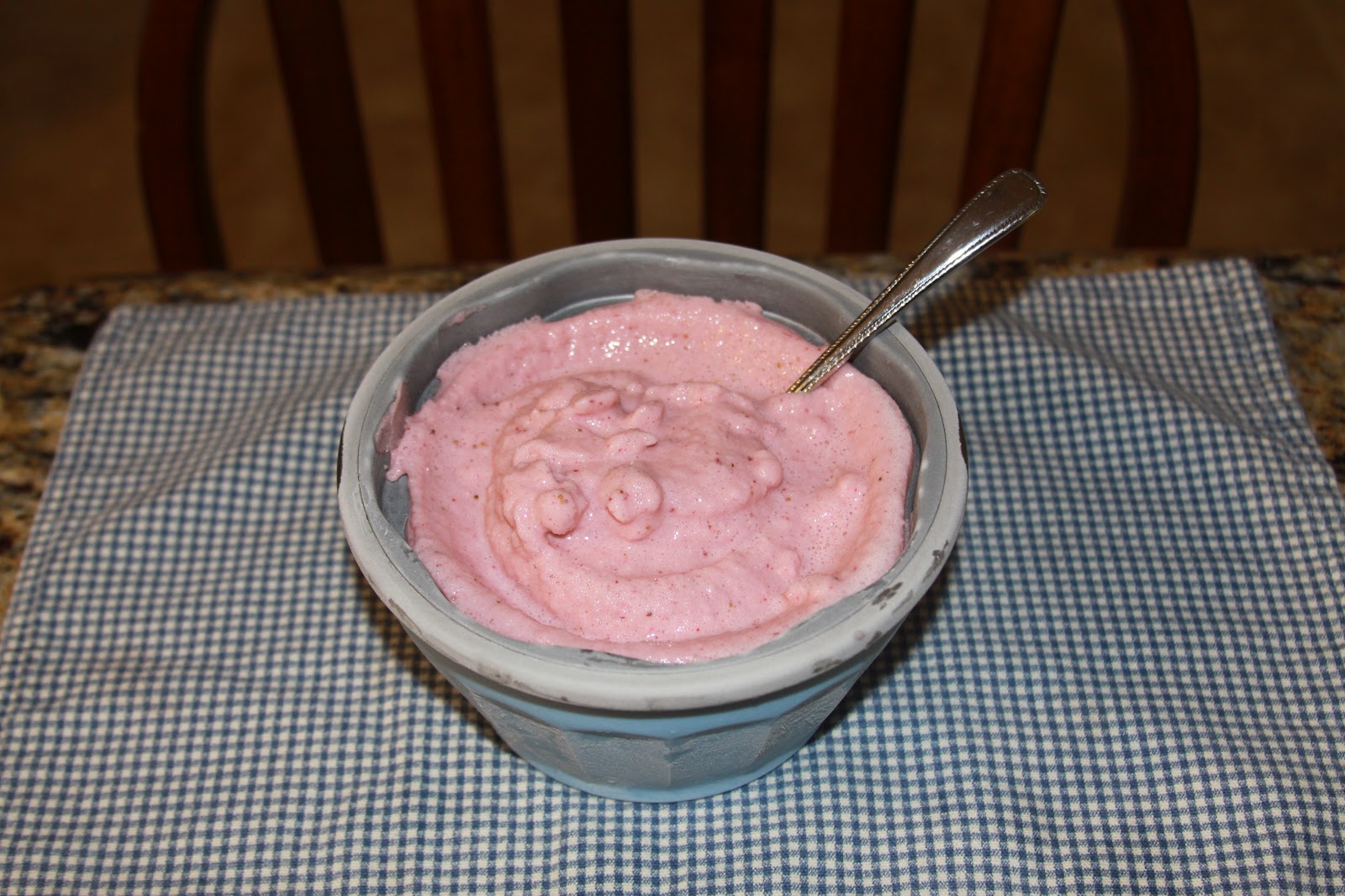 The Homemade Housewife Homemade Frozen Yogurt