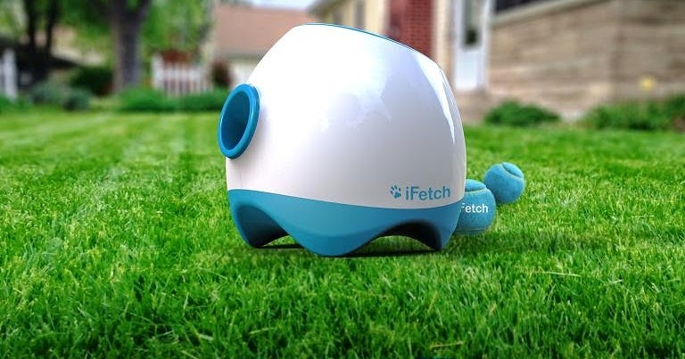 Ifetch Too Dog Breed Ifetch Too Dog Breed