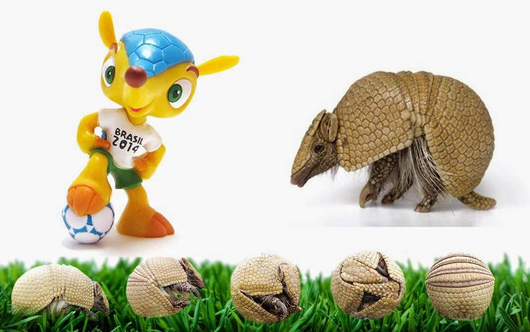 EGA DEVA: Brazilian Three Banded Armadillo