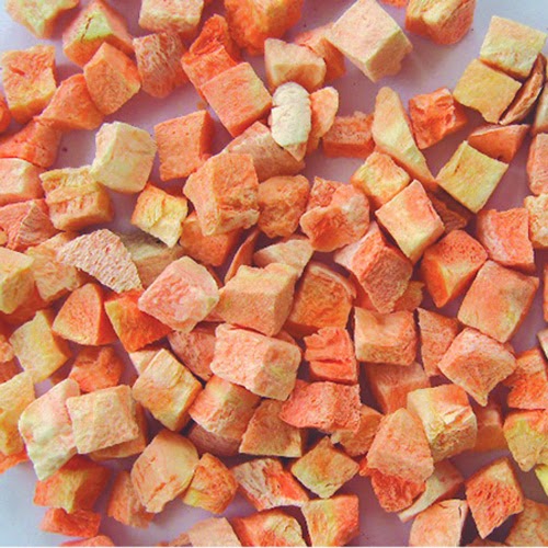 Life and Food Wholesale Freeze Dried Vegetables Bulk from China This