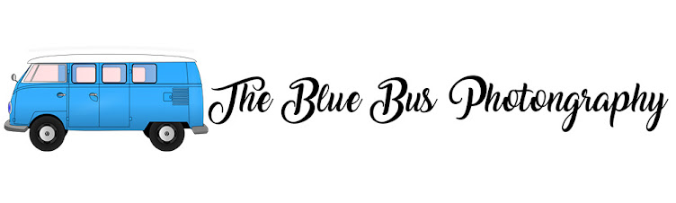 The Blue Bus Photography