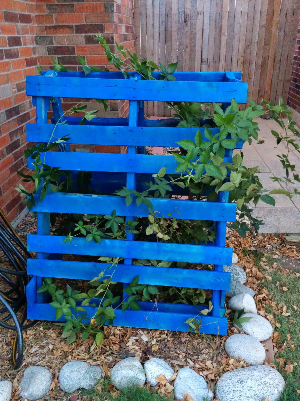 Love and Spray Paint Pallets A'Plenty