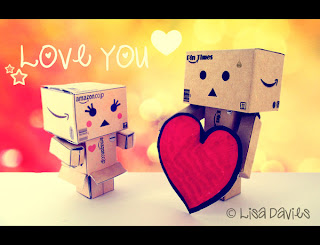danbo love