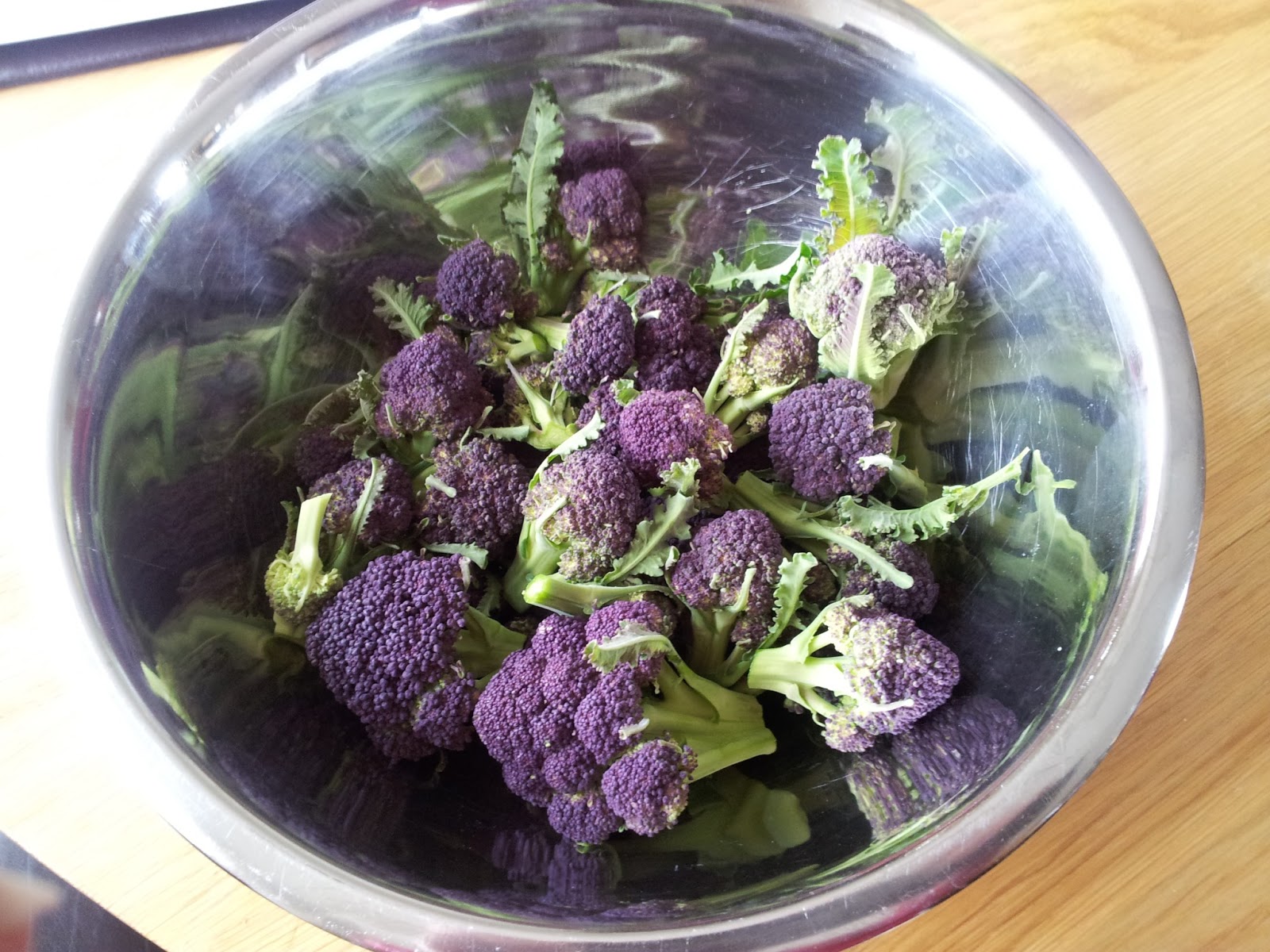 Veg growing and gardening by an amateur Me! Purple Sprouting Broccoli