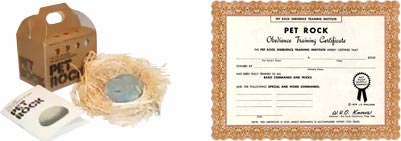 AniCompendium: Vintage...Pet Rock!