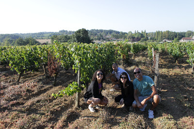 Vinhedo Bordeaux
