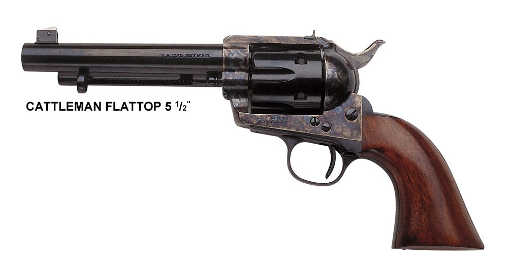 The Casual Shooter Ann Arbor Arms