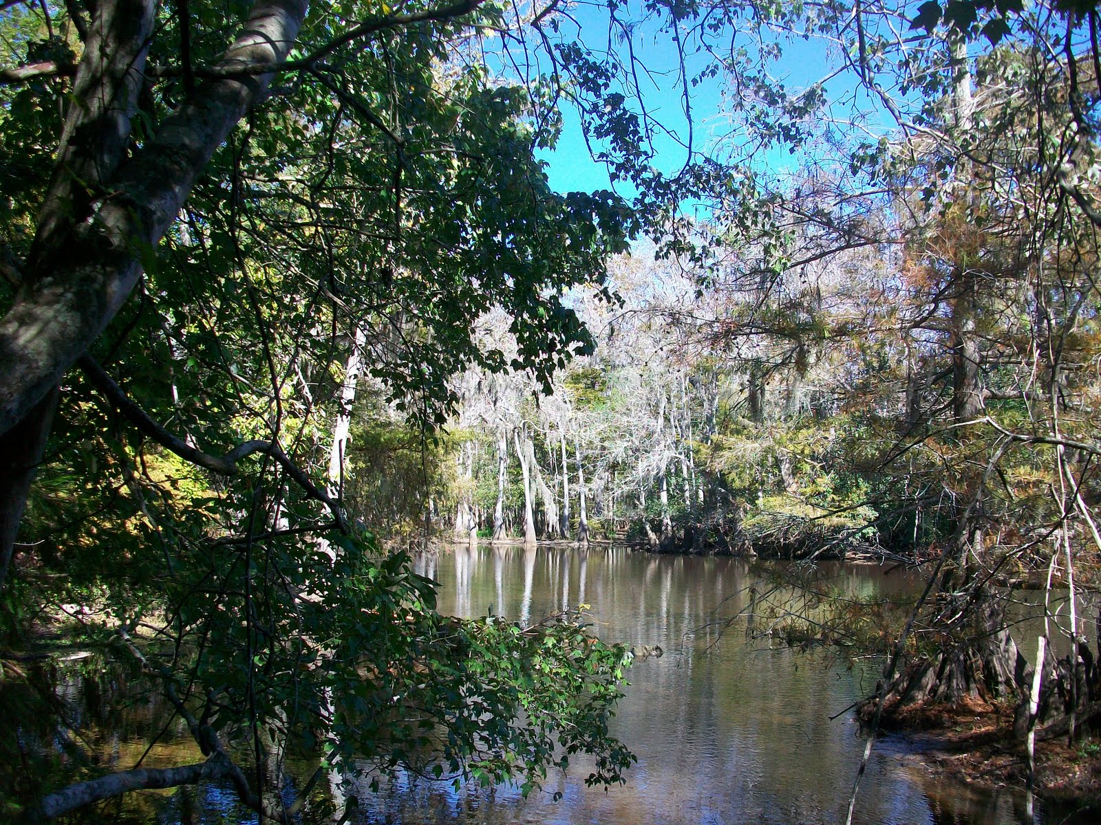 Angie Kay Dilmore Lorraine Bridge