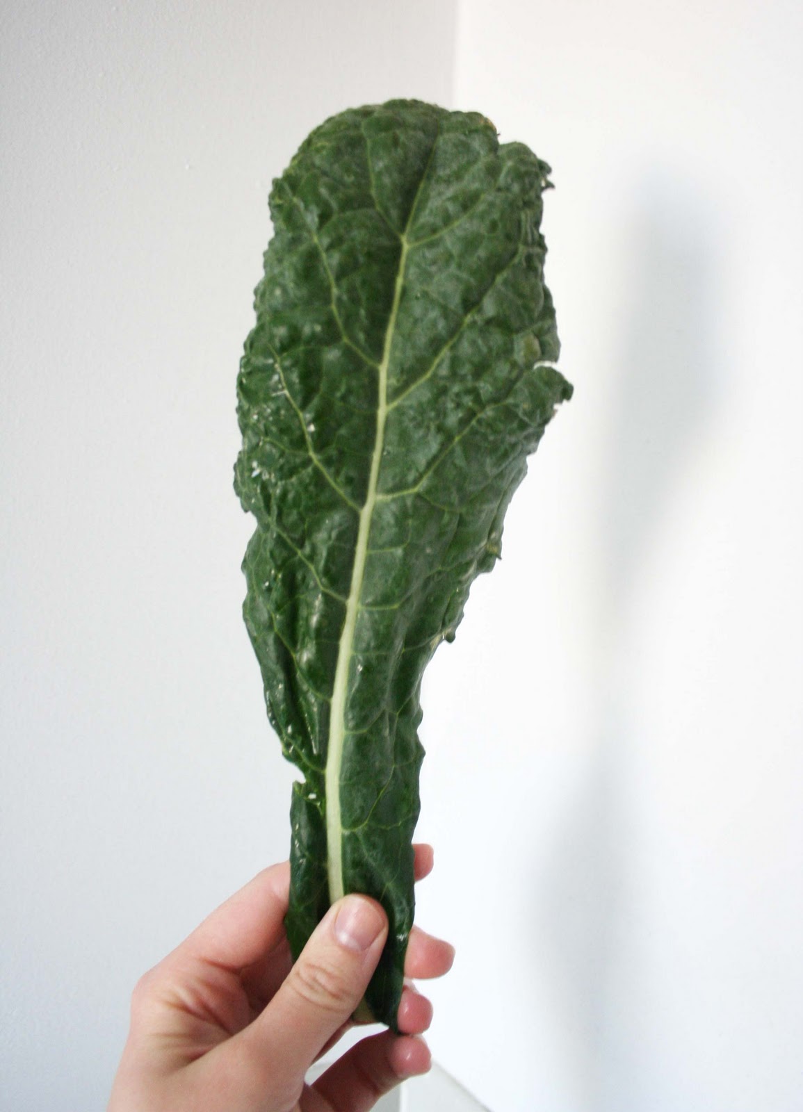 Kale Leaf